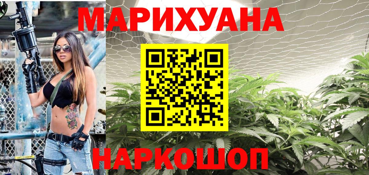 Бошки марихуана конопля Моздок